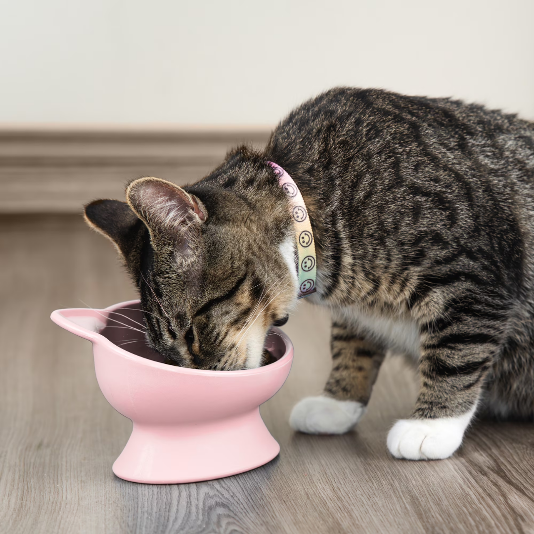 Plastic Elevated Cat Ear Feeding Bowl, Raised Pet Food Bowl with Stable Base, Pink