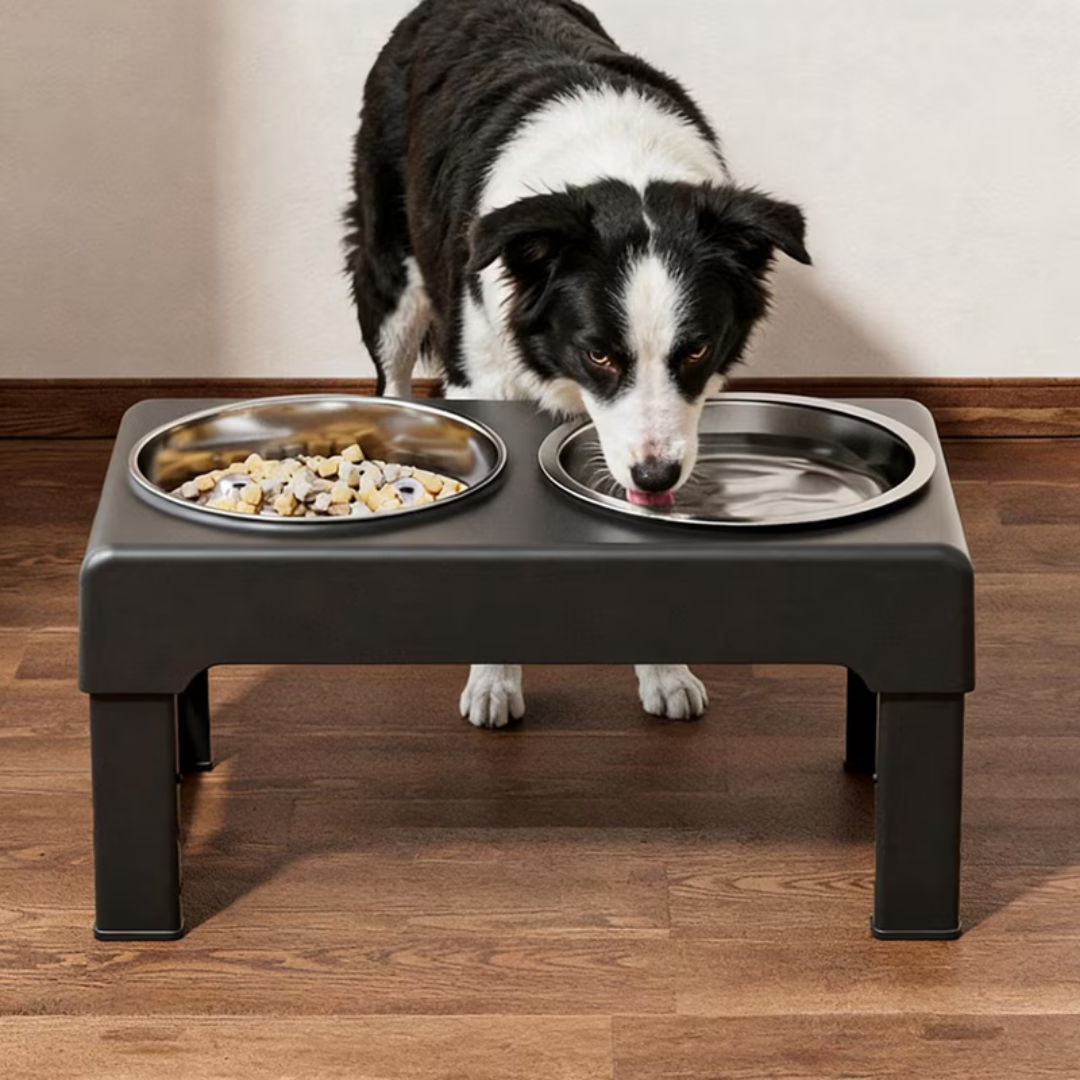 Dog Bowls