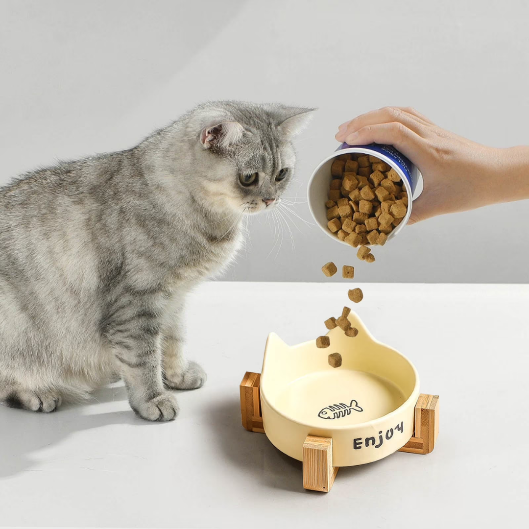 Ceramic Elevated Cat Bowl with Wooden Stand, Non-Slip Feeding Bowl for Food or Water, Yellow
