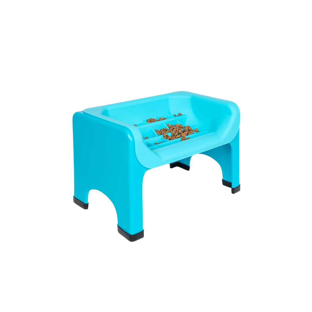 Elevated Slow Feeder Bowl for Flat-Face Dogs with Silicone Insert, Blue